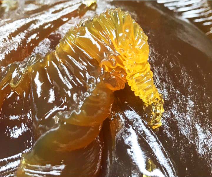 東營(yíng)領(lǐng)潤(rùn)石化：合成油